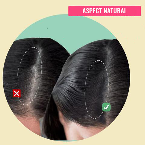 Pudra Coloranta pentru Par Max Hair
