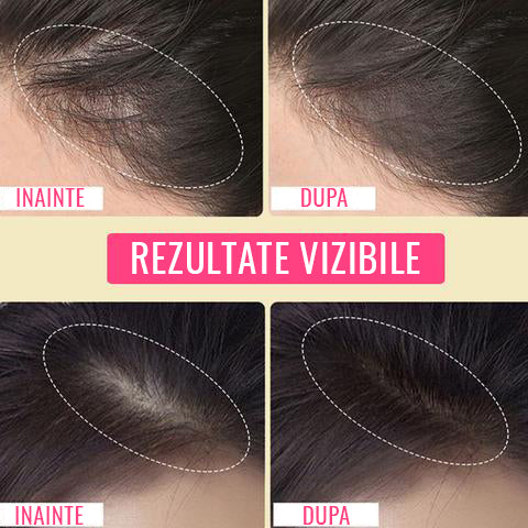 Pudra Coloranta pentru Par Max Hair