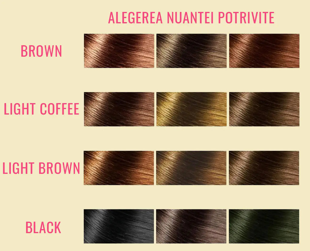 Pudra Coloranta pentru Par Max Hair
