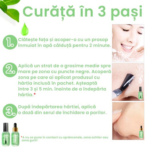 Set Curatare Pori & Puncte Negre LANBENA