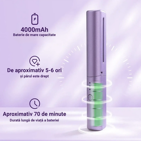 Mini Perie Electrica pentru Indreptat Parul PRO STYLE™