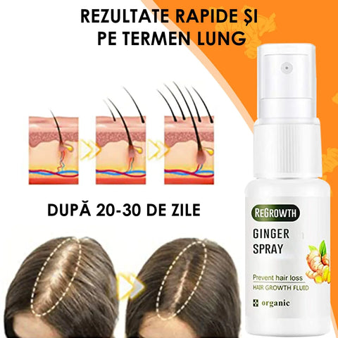 Spray Regenerator Par cu Extract de Ghimbir Voluxe™