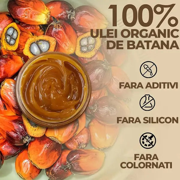 Ulei de Batana pentru Regenerare Par & Anticadere Growth™