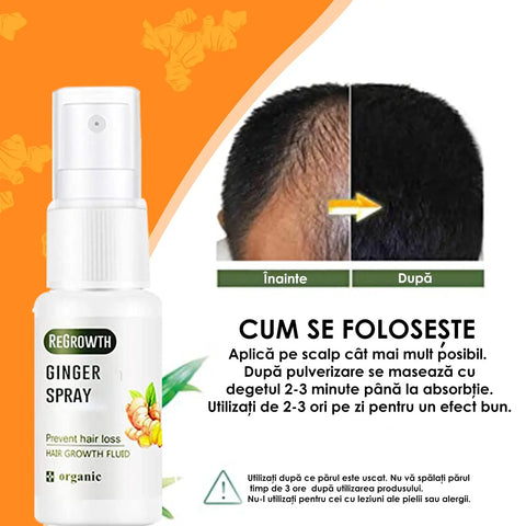 Spray Regenerator Par cu Extract de Ghimbir Voluxe™