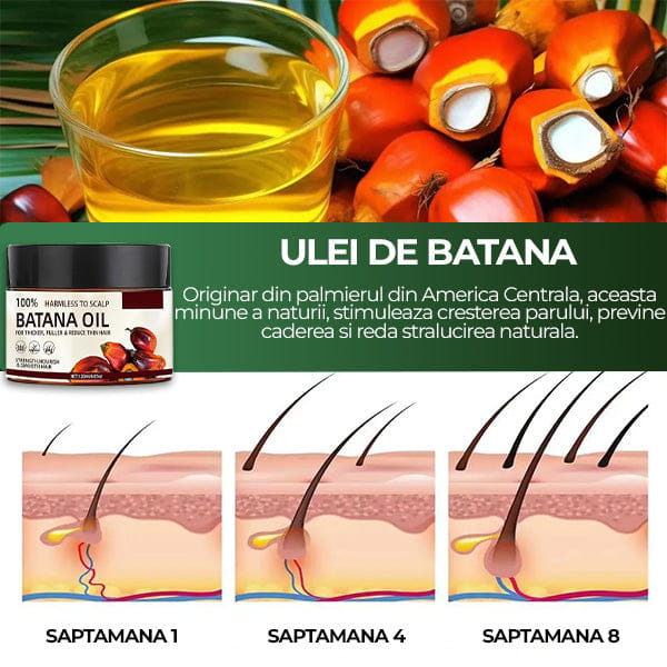 Ulei de Batana pentru Regenerare Par & Anticadere Growth™